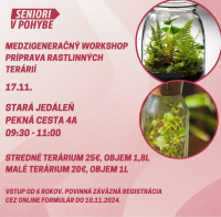 Medzigeneračný workshop, príprava rastlinných terárií.